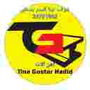 شرکت تینا گستر